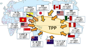 TPP　参加国